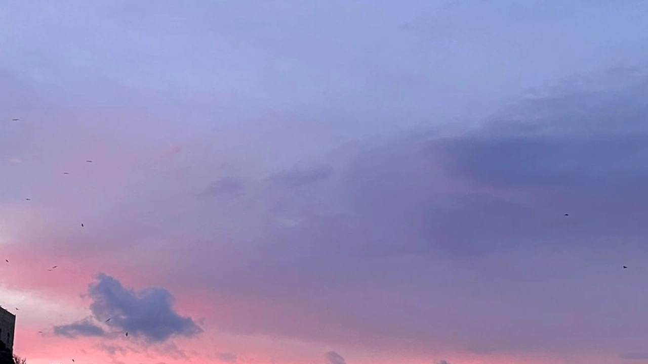 黄色软件下载大全免费截图1